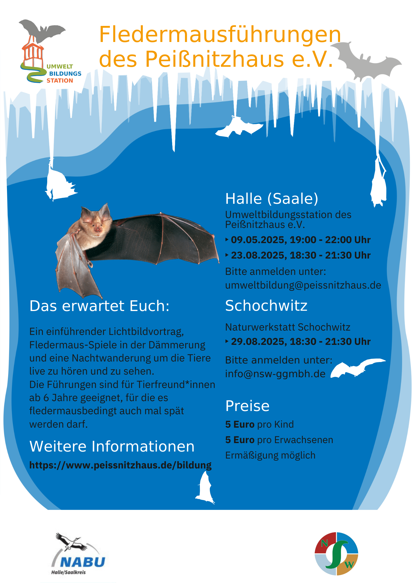 Plakat Fledermausnächte024 4.pdf