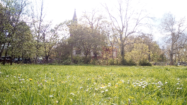 haus und wiese